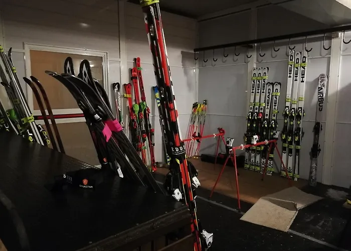 Hotel Diana Jardin Et 3*