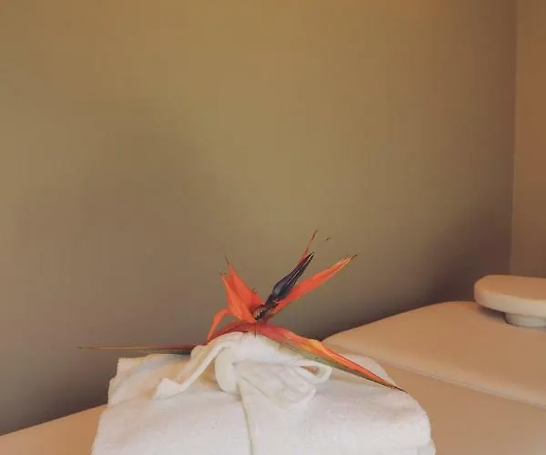 Отель Diana Jardin Et 3*